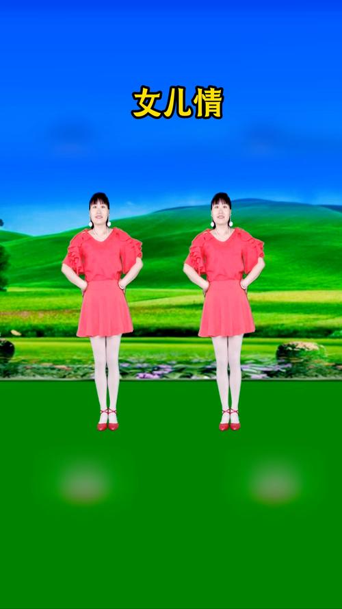 广场舞大全免费下载,热门高清教学视频随心学