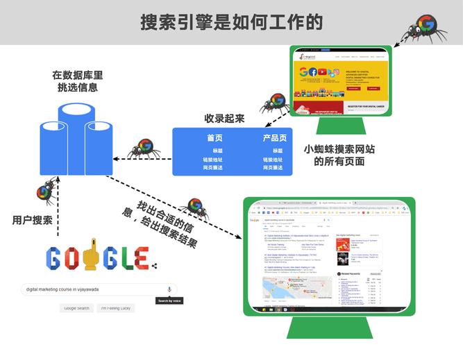 上海蜘蛛池出租服务乱象调查：SEO“黑帽”背后的流量生意