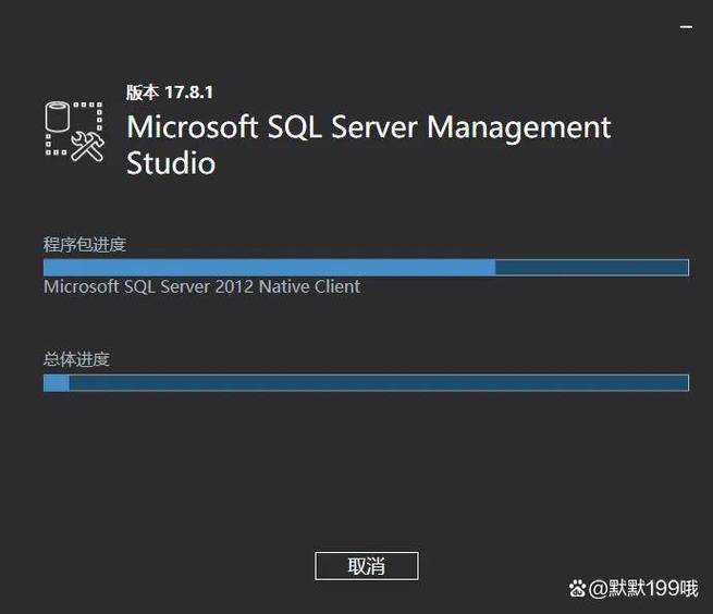 SQL Server 2008下载指南:安全获取与安装步骤详解