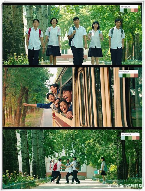 大明星爱上我下载的相关介绍