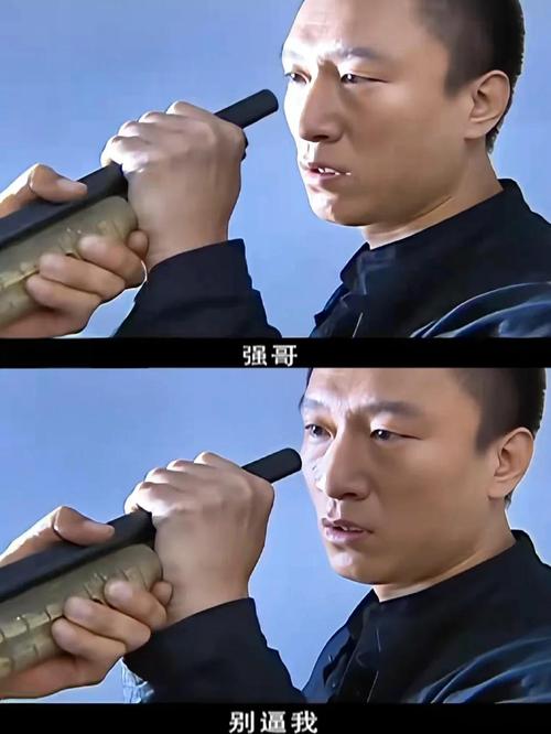 《征服》电视剧全集高清下载,刘华强经典警匪剧在线观看
