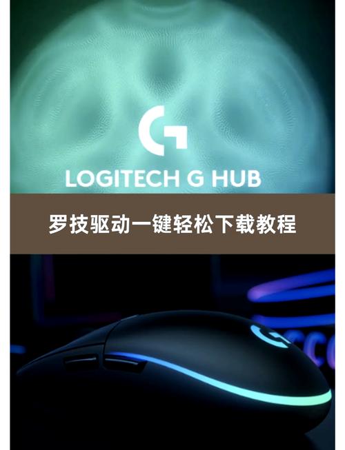 鼠标下载 - 高效可靠的鼠标驱动与软件下载平台