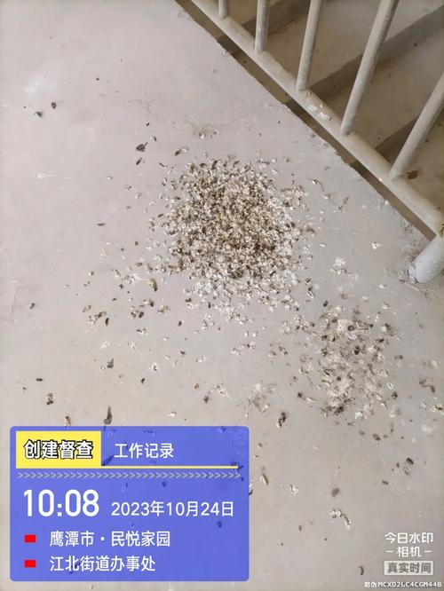 自建蜘蛛池寄生虫泛滥成灾：隐蔽网络背后的黑色产业链调查