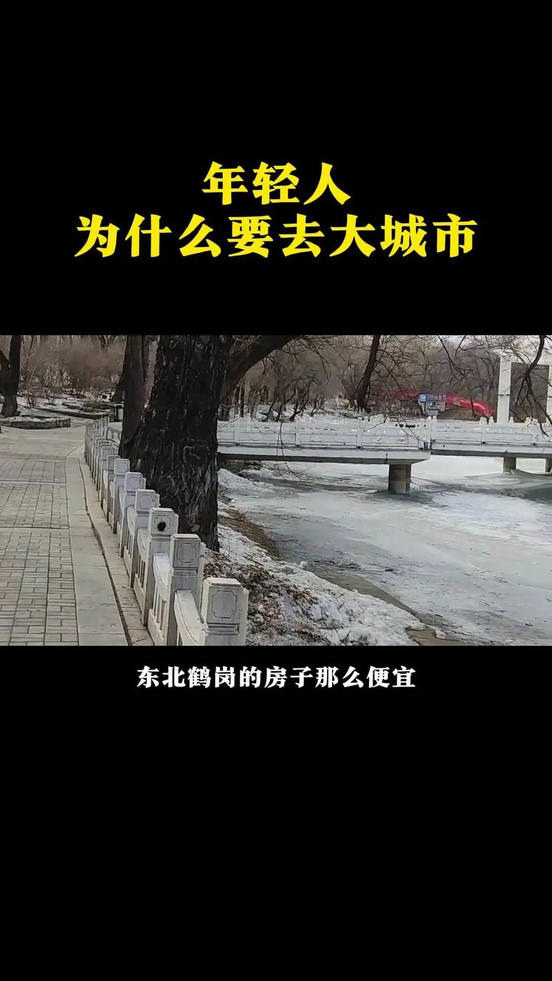 鹤岗“白菜价”房难留人 资源枯竭城市困局待解