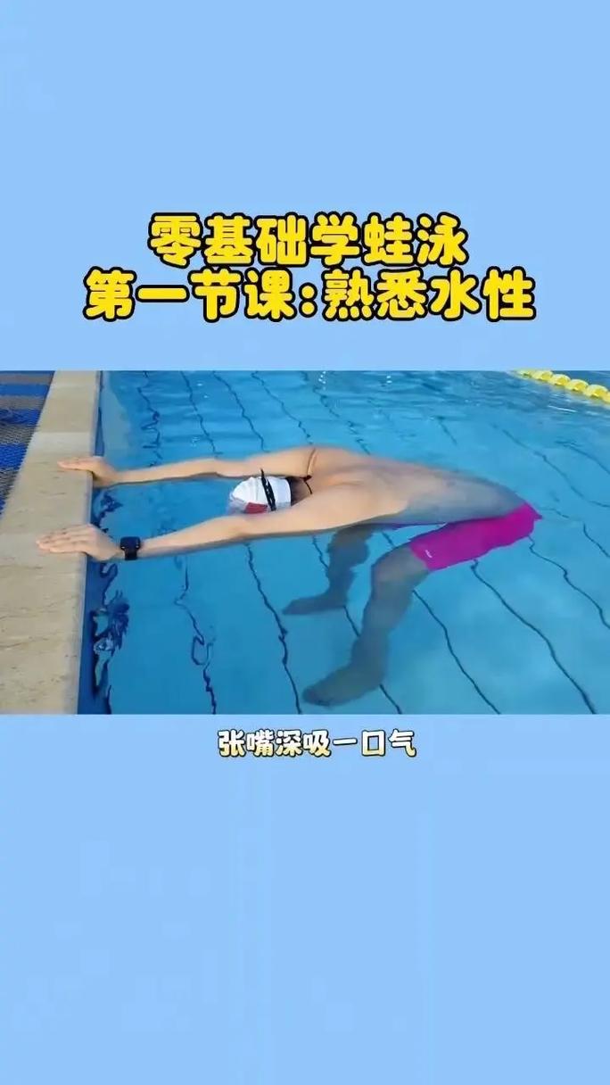 游泳教学视频下载,零基础到高手完整教程合集