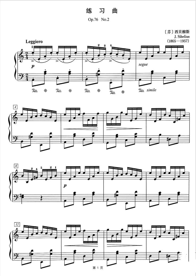 练习曲免费下载|高清全集资源在线获取