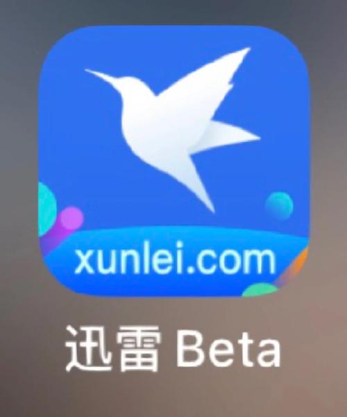迅雷极速版下载_官方高速下载_稳定版免费安装