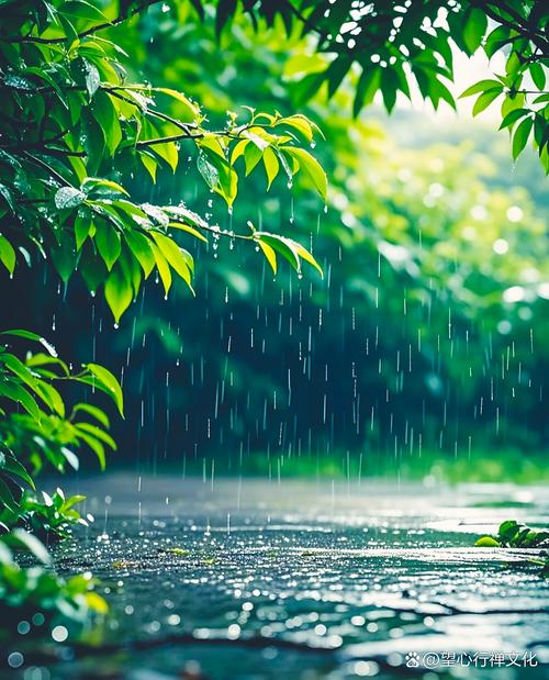 雨声下载 | 高清白噪音助眠音频免费下载
