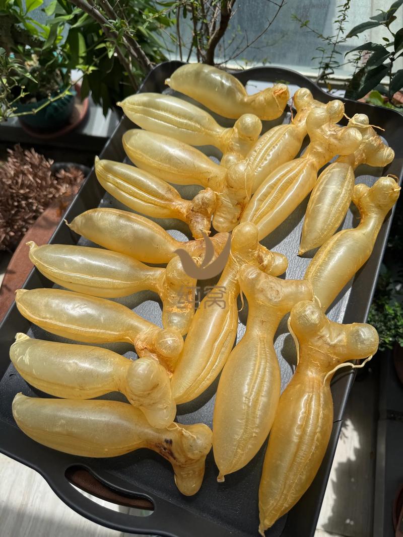 蜘蛛池价格乱象调查：月租低至几十元，高至数千元，背后暗藏哪些风险？