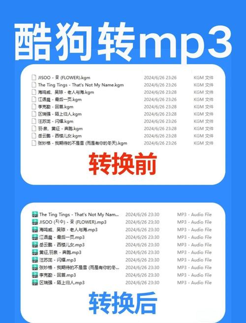 高品质音乐下载 | 无损音质在线获取