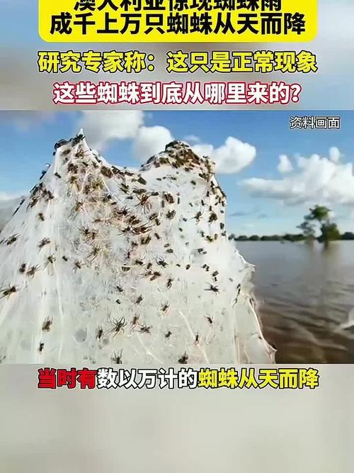 1. 刚刚，十万条新闻同时上线，背后真相令人震惊 2. 一天生成十万条新闻标题，蜘蛛池到底有多疯狂？ 3. 蜘蛛池日推十万新闻，搜索引擎还扛得住吗？ 4. 揭秘蜘蛛池：一天十万条新闻是如何炼成的 5. 十万新闻标题一夜霸屏，蜘蛛池操作内幕曝光 6. 蜘蛛池日发十万新闻，是技术奇迹还是搜索灾难？ 7. 一天十万条新闻轰炸，蜘蛛池正在改写搜索规则 8. 蜘蛛池疯狂输出：单日十万新闻标题的背后逻辑 9. 十万新闻标题瞬间收录，蜘蛛池到底用了什么手段？ 10. 蜘蛛池一天十万新闻，SEO江湖再掀腥风血雨