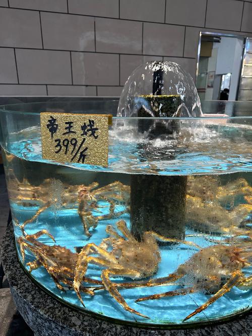 寄生虫蜘蛛池价格曝光：建一个要花多少钱？