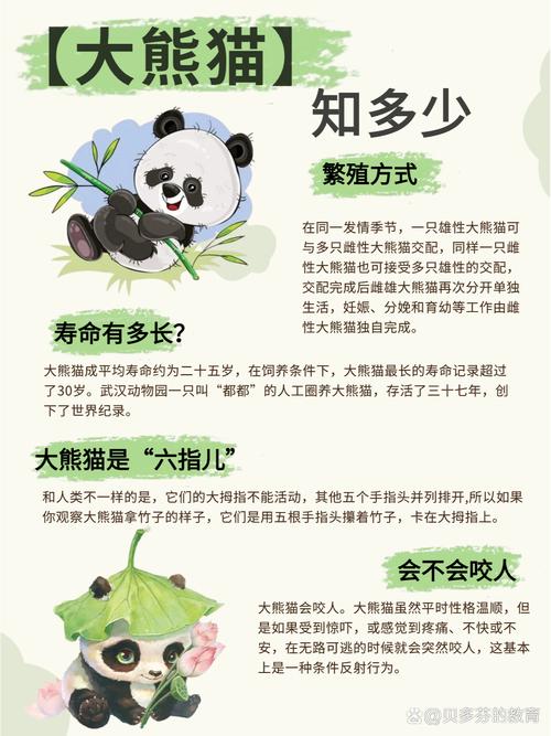 国宝熊猫:八百万年活化石,中国独有生态名片