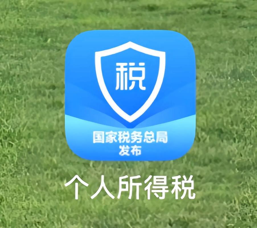个人所得税app正版官方下载-2024最新版个税申报查询办理