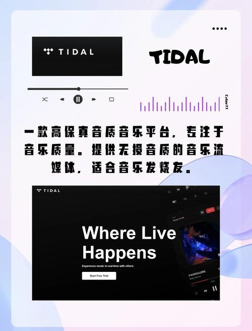 高品质音乐免费下载 | 无损音源在线试听与下载