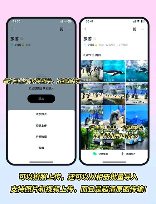 星际争霸1.08b官方下载 | 经典RTS游戏完美版