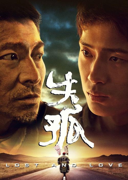 失孤电影高清下载 | 刘德华主演打拐题材感人片源