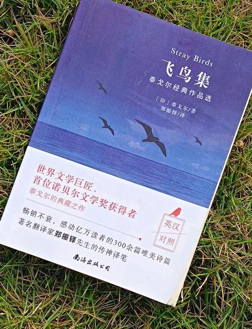 飞鸟集经典诗集下载 | 泰戈尔作品高清PDF免费获取