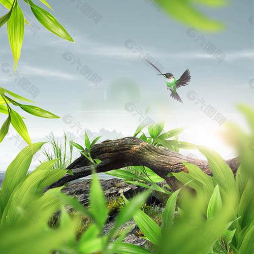 PSD海量模板免费下载,一键获取设计素材