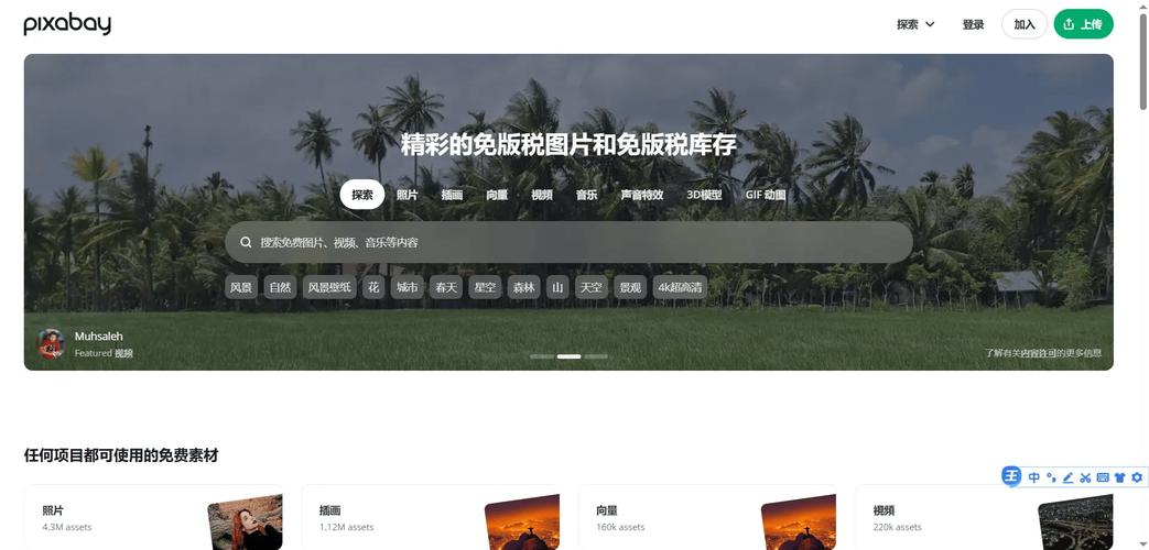 免费AVI视频下载网站推荐 - 高清资源一键获取