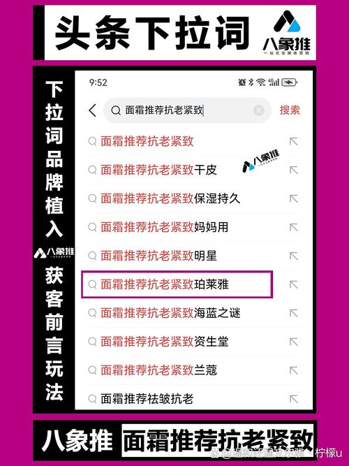 蜘蛛池视频教程：从零搭建到高效运用的完整实战指南