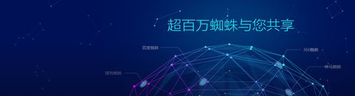 蜘蛛池与站群究竟有何区别？一文读懂SEO两大核心策略的本质差异