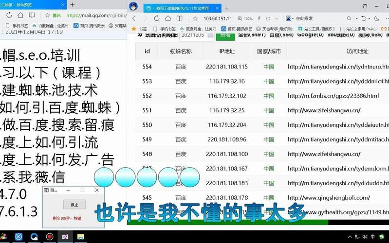 蜘蛛池提交:高效收录背后的技术逻辑与实战策略