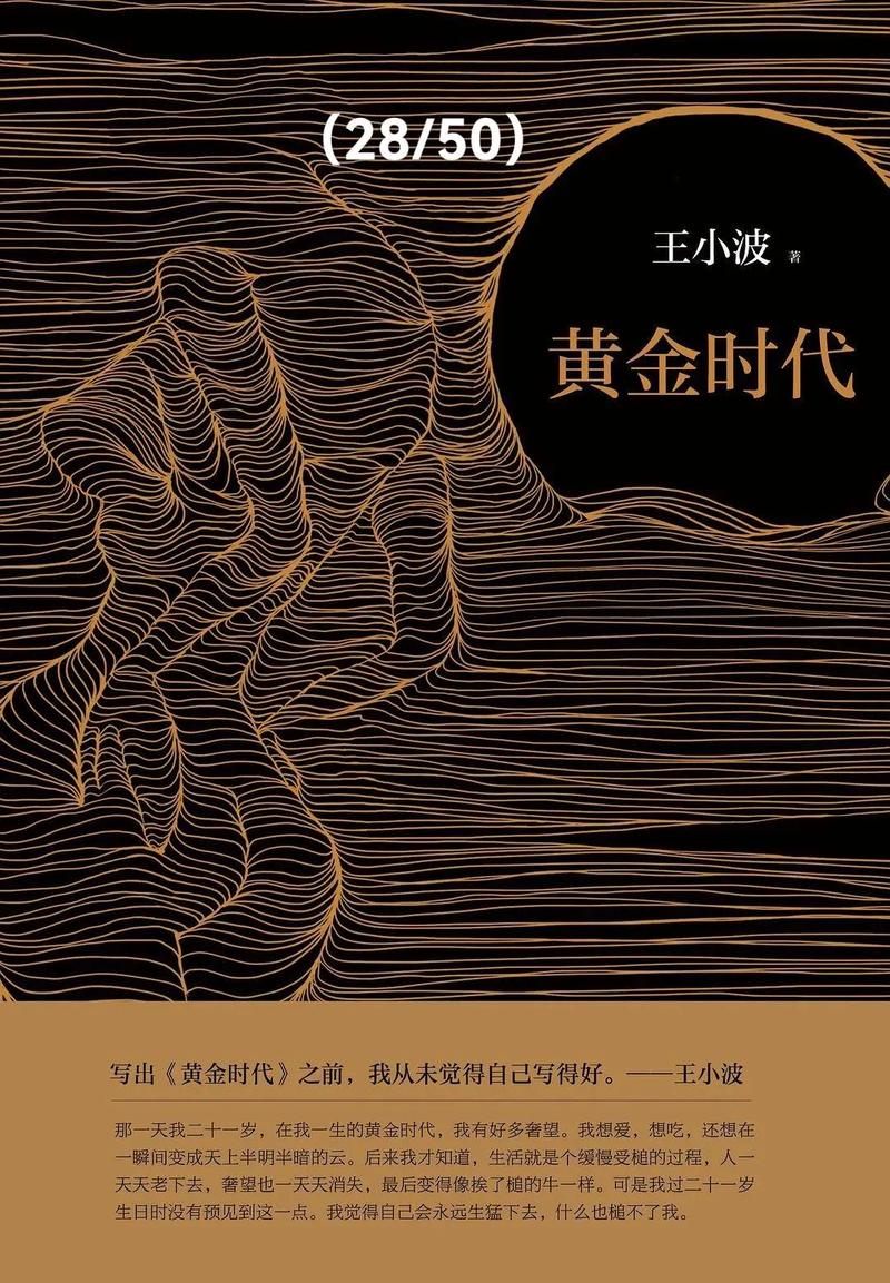 黄金时代txt下载|王小波经典小说全集电子书资源