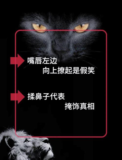 读心术APP下载 - 揭秘心理测试与读心技巧的趣味应用