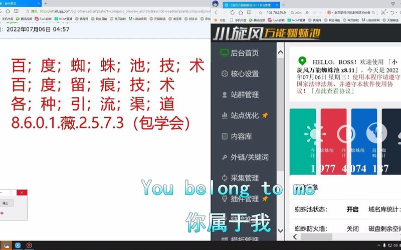 蜘蛛池免费优化：低成本引爆搜索引擎流量的秘密武器