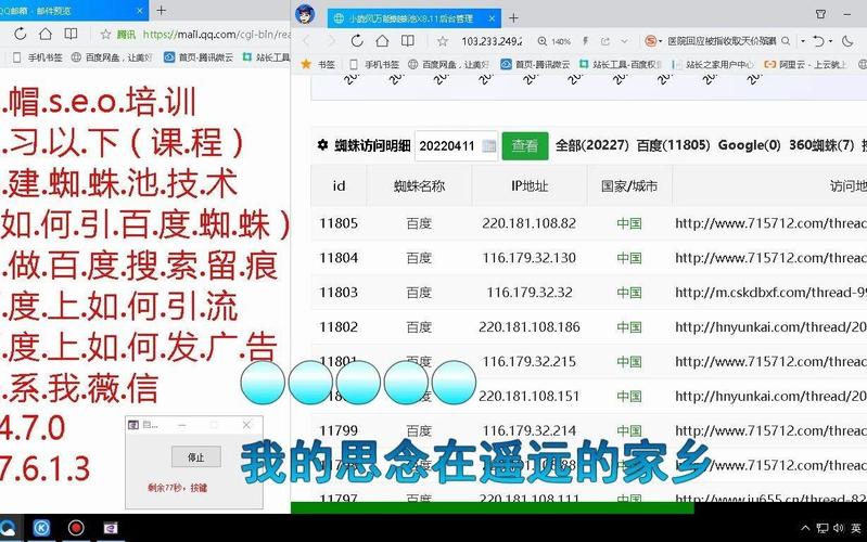 蜘蛛池能提升排名吗?揭秘黑帽SEO背后的风险与真相
