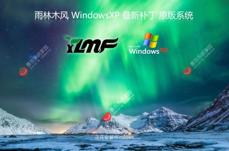 纯净版系统下载 - 官方原版ISO镜像高速安全免费