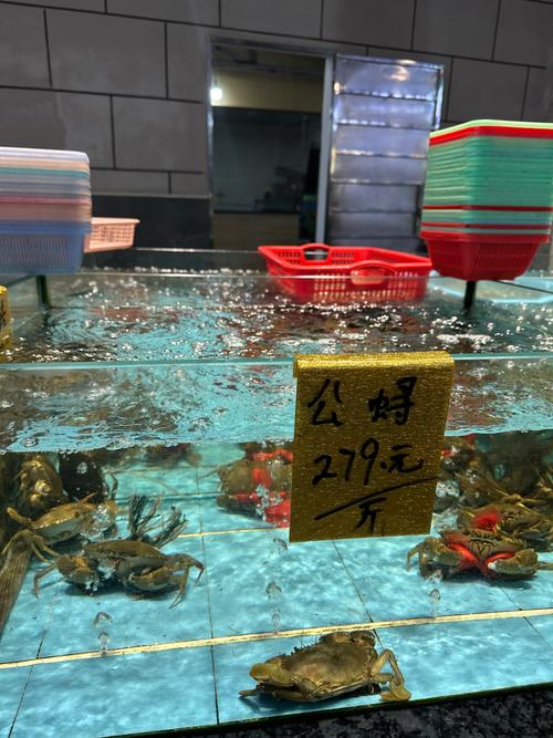寄生虫蜘蛛池价格曝光：建一个要花多少钱？