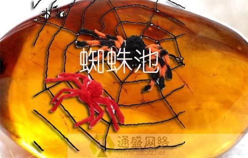 蜘蛛池博客：揭秘黑帽SEO背后的流量操纵与法律风险