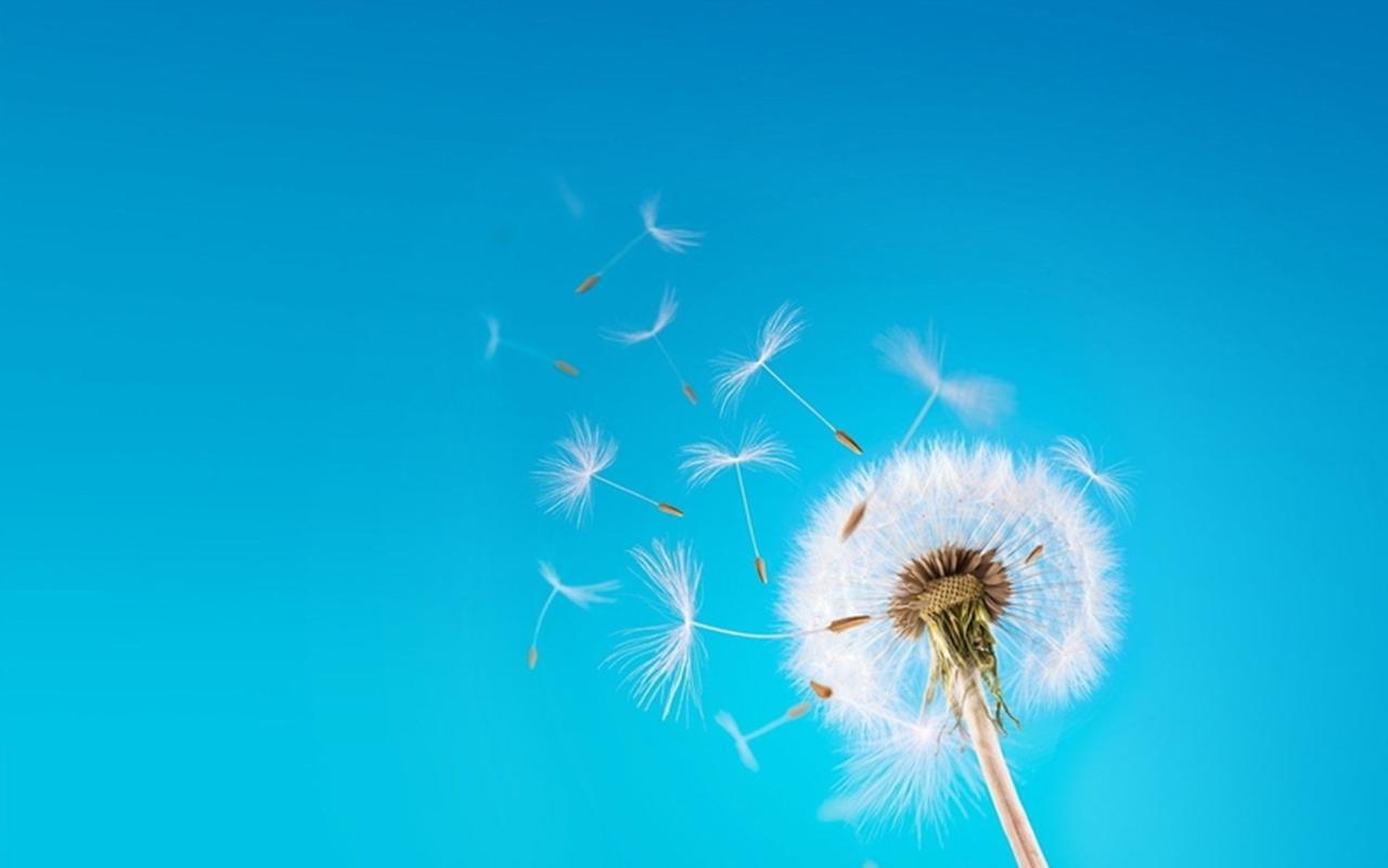 桌面下载 - 海量资源高速下载，安全稳定一键获取