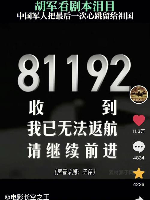 “海空卫士”王伟驾驶81192为何无法返航?