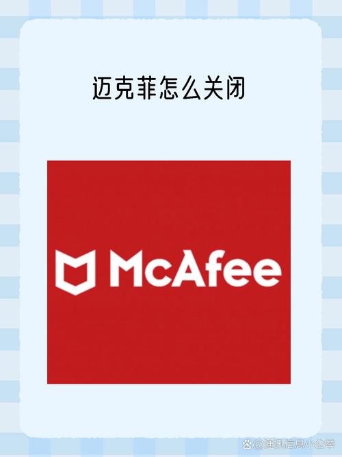 喜爱夜蒲迅雷下载的相关介绍
