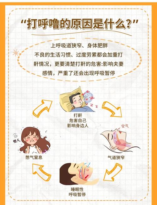 睡眠医学新探:气道塌陷与神经调控失衡揭示鼾声成因之谜
