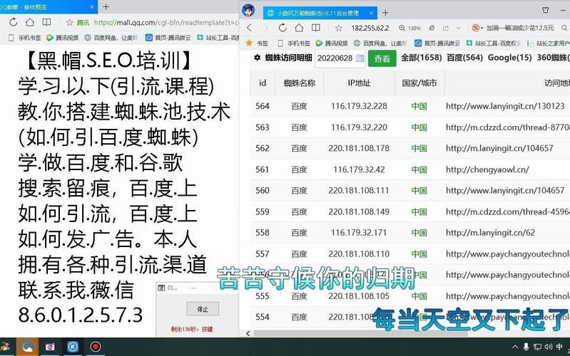 惊!蜘蛛池使用视频教学流出,手把手教你搭建高效蜘蛛池