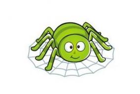 Is Building a Spider Pool Simple?