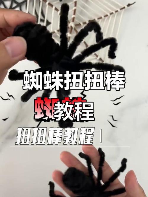 蜘蛛池技术视频教学：从零搭建到快速收录的实战全解析