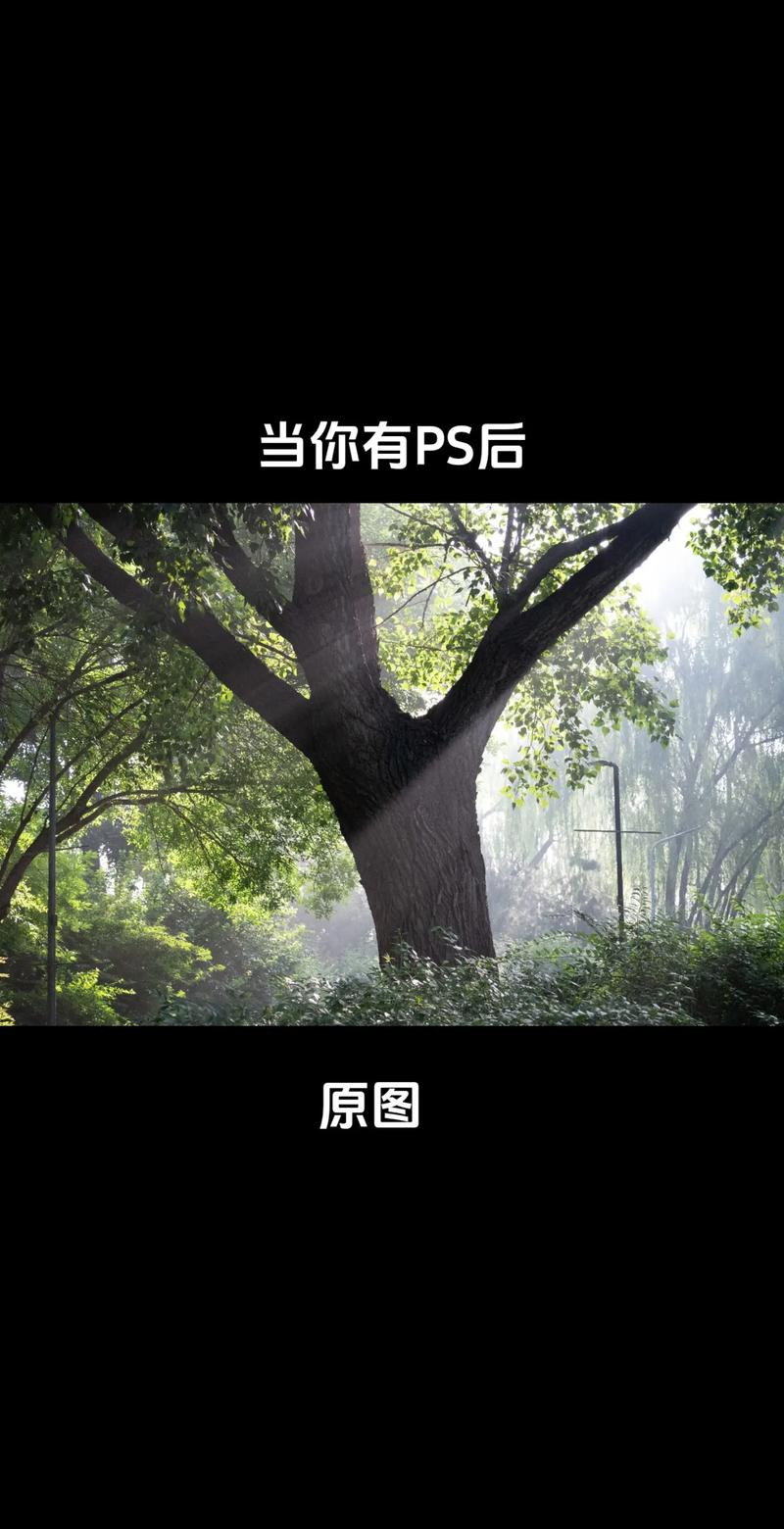 PS滤镜免费下载合集，一键安装高效修图神器