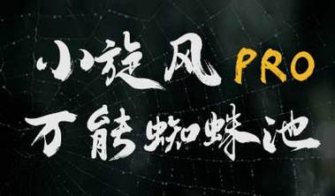 小旋风蜘蛛池正式获得官方授权,开启智能建站新篇章