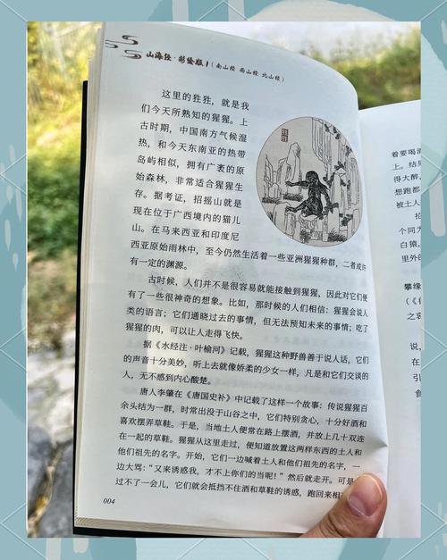 风临异世txt全集下载的相关介绍