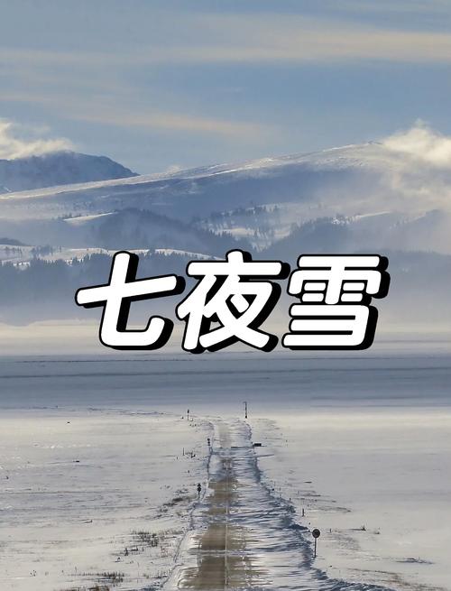 七夜雪txt下载 | 沧月经典武侠小说完整版电子书