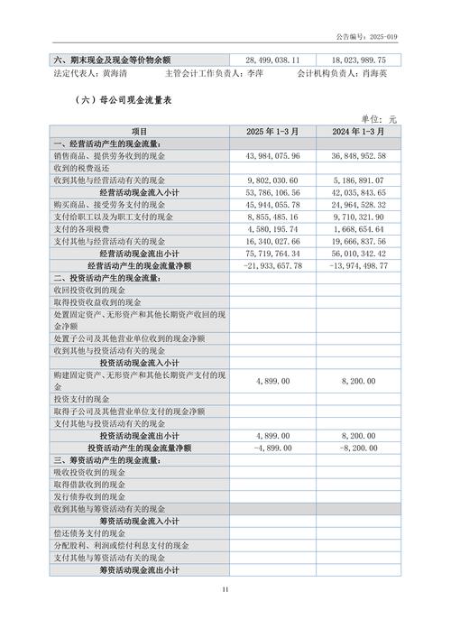 财务报表下载 | 快速获取财务数据与报表模板