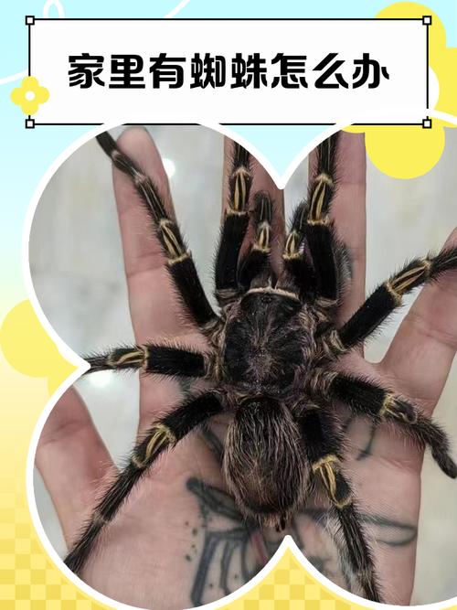 侨商侨领谈平陆运河 震撼世界 惠及世界 不止是航道 更是开放通道