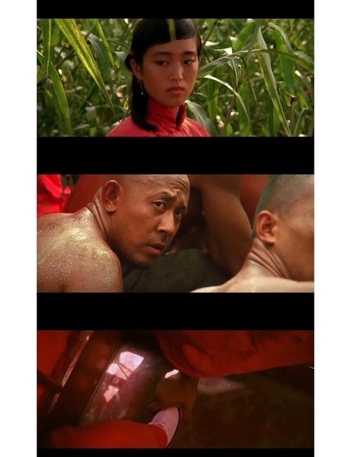 红高粱电影高清下载 | 张艺谋经典作品在线观看