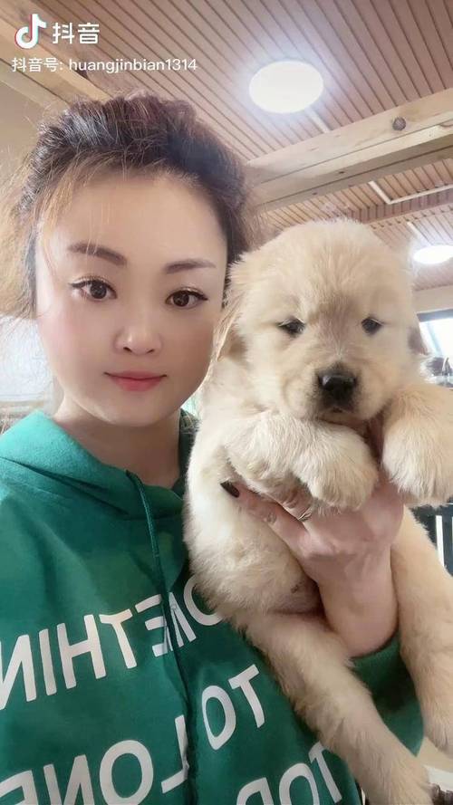 小可爱直播下载 - 畅享高清互动直播,海量主播在线等你