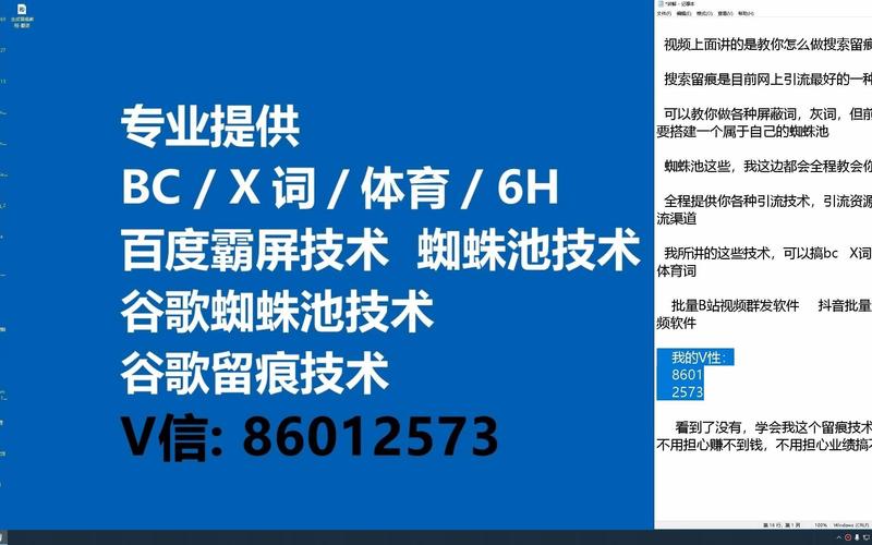 黑帽蜘蛛池软件暗藏法律风险，多名运营者已被判刑